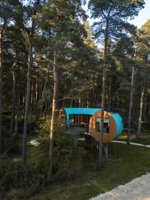 PILE FOUNDATIONS FOR TREE HOUSES