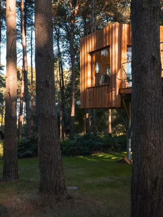 TREE HOUSE FOUNDATIONS