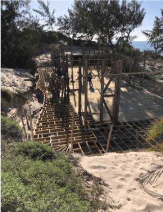 RAPIDROOT ECO FOUNDATIONS