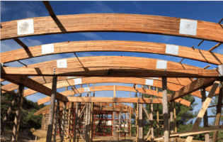 RAPIDROOT PILES FOR TIMBER BUILDINGS